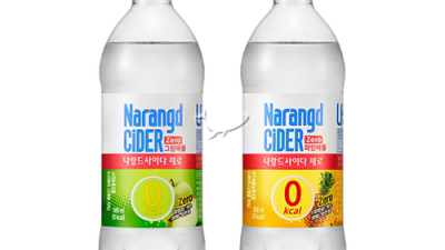 ✨나랑드사이다 500ml 40개 초특가 득템 후기! 놓치면 후회?!🥤