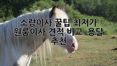 소량이사 꿀팁🍯 최저가 원룸이사 견적 비교 & 용달 추천!