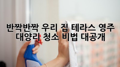 반짝반짝✨ 우리 집 테라스, 영주 대양리 청소 비법 대공개! 🏡