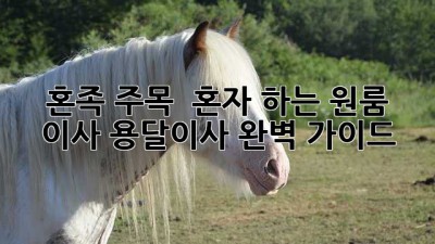 혼족 주목! 📦 혼자 하는 원룸 이사, 용달이사 완벽 가이드 🚀